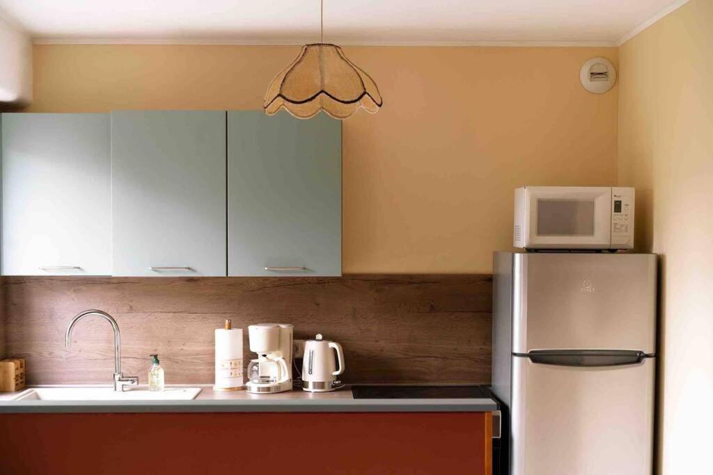 Le Fifties Apartman Verdun-sur-Meuse Kültér fotó